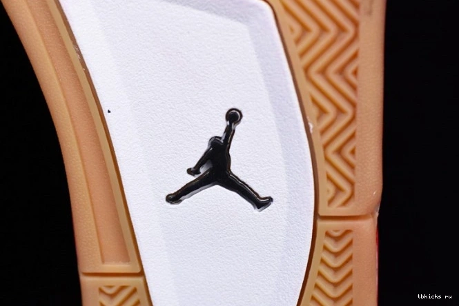 Rep TB Day Jordan Air 4 AV3914-600 Singles 0724